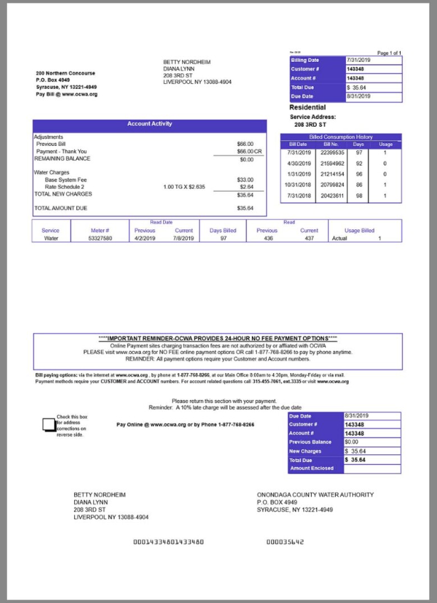 美国纽约奥农达加水电费账单word/pdf模板