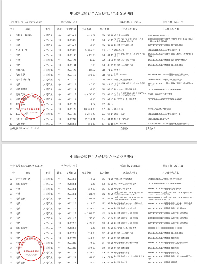 过WISE二审中国建行个人银行流水收入证明资产证明PDF