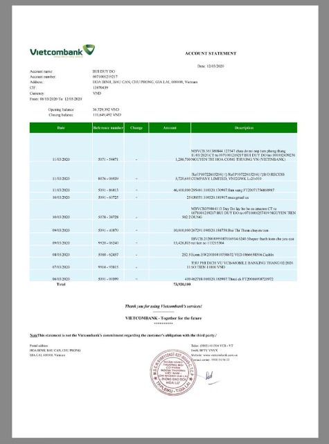 越南银行信用卡账单/KYC地址证明pdf模板