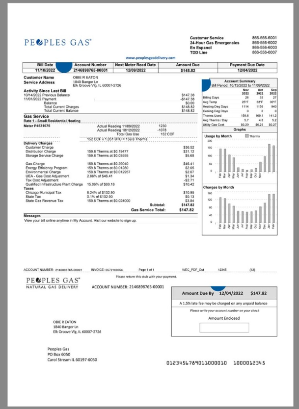 美国伊利诺伊州水电费账单word/pdf模板