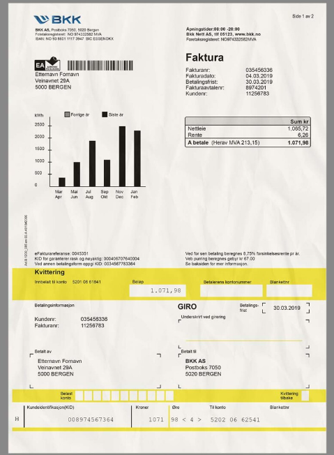 BKK挪威水电费账单/KYC地址证明PS/PSD模板