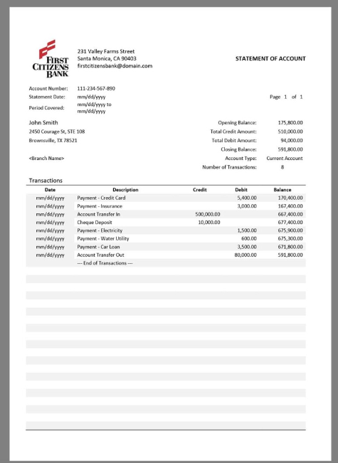 美国First Citizen Bank Statement银行账单/KYC地址证明word模板