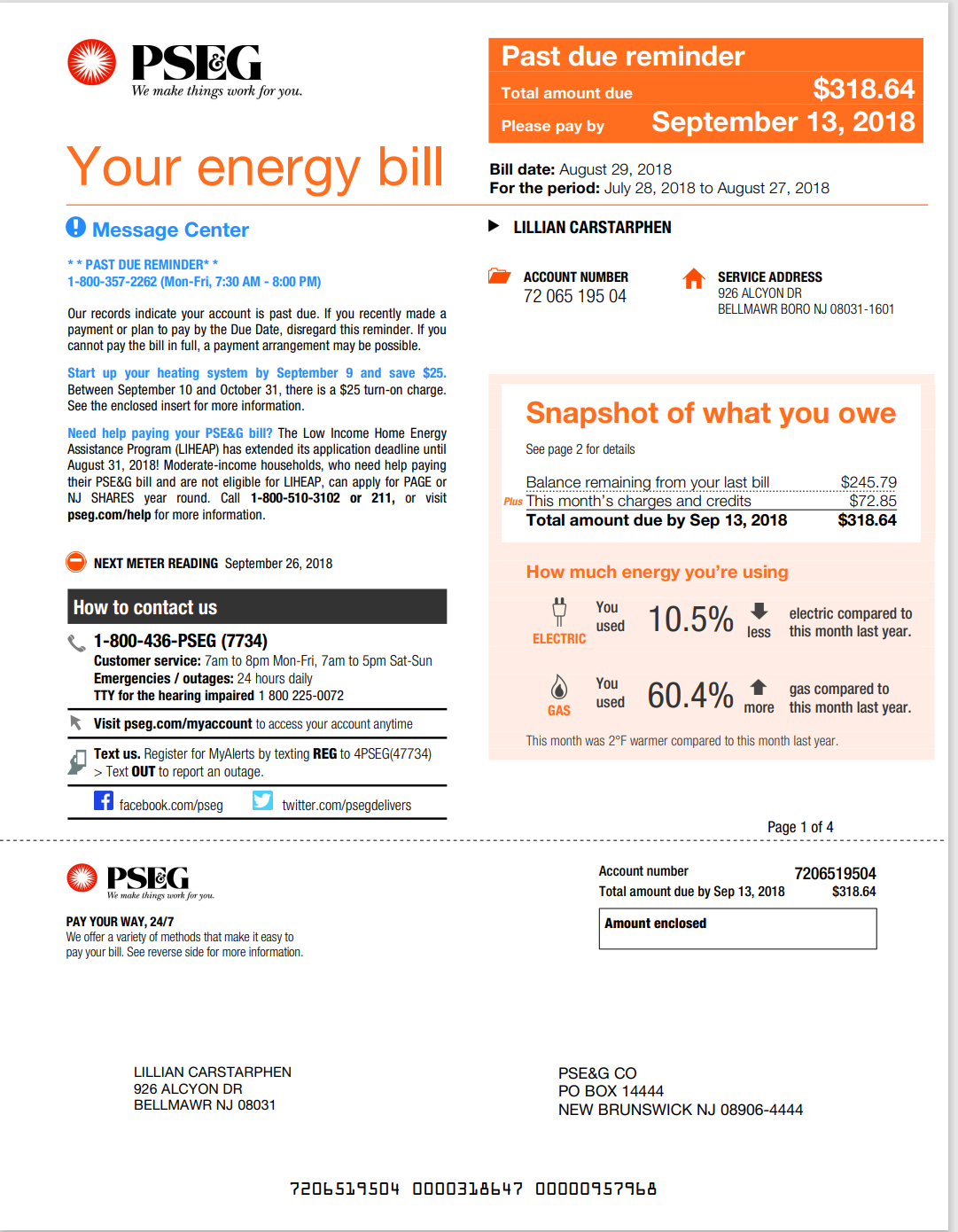 NJ-新泽西州-New Jersey-PSEG Energy Bill-PDF